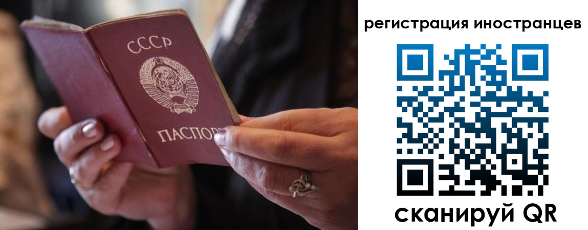 где прописаться в Ковдоре